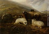 Thomas Sidney Cooper Sheep in the Highlands painting